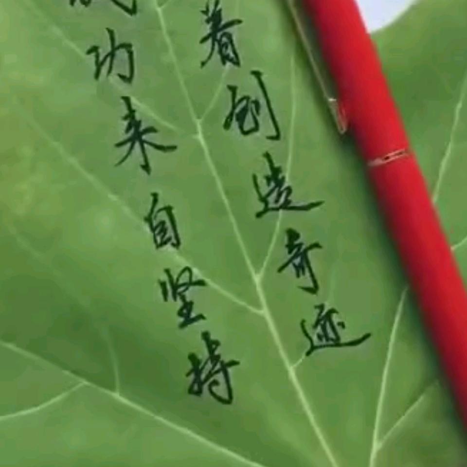 朴懂人心