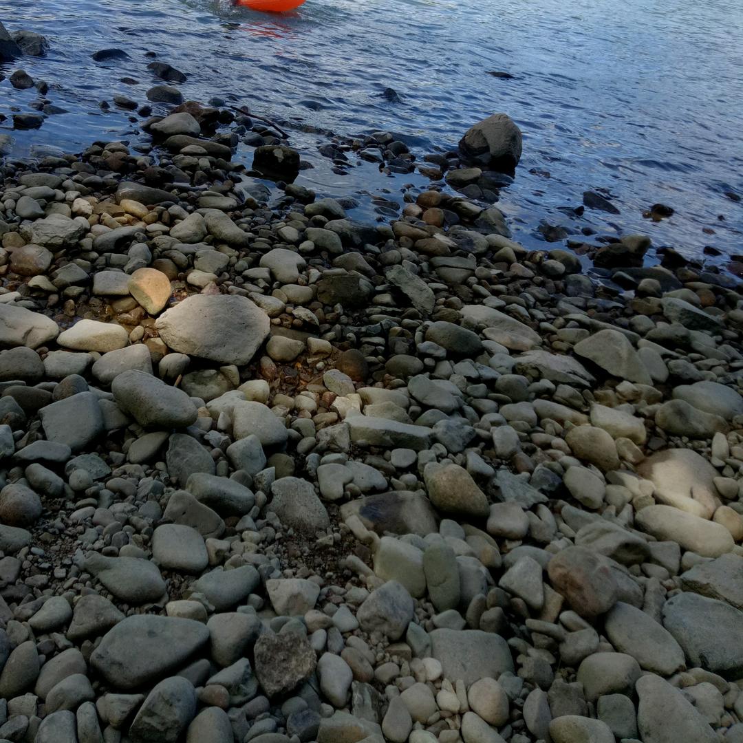 気林