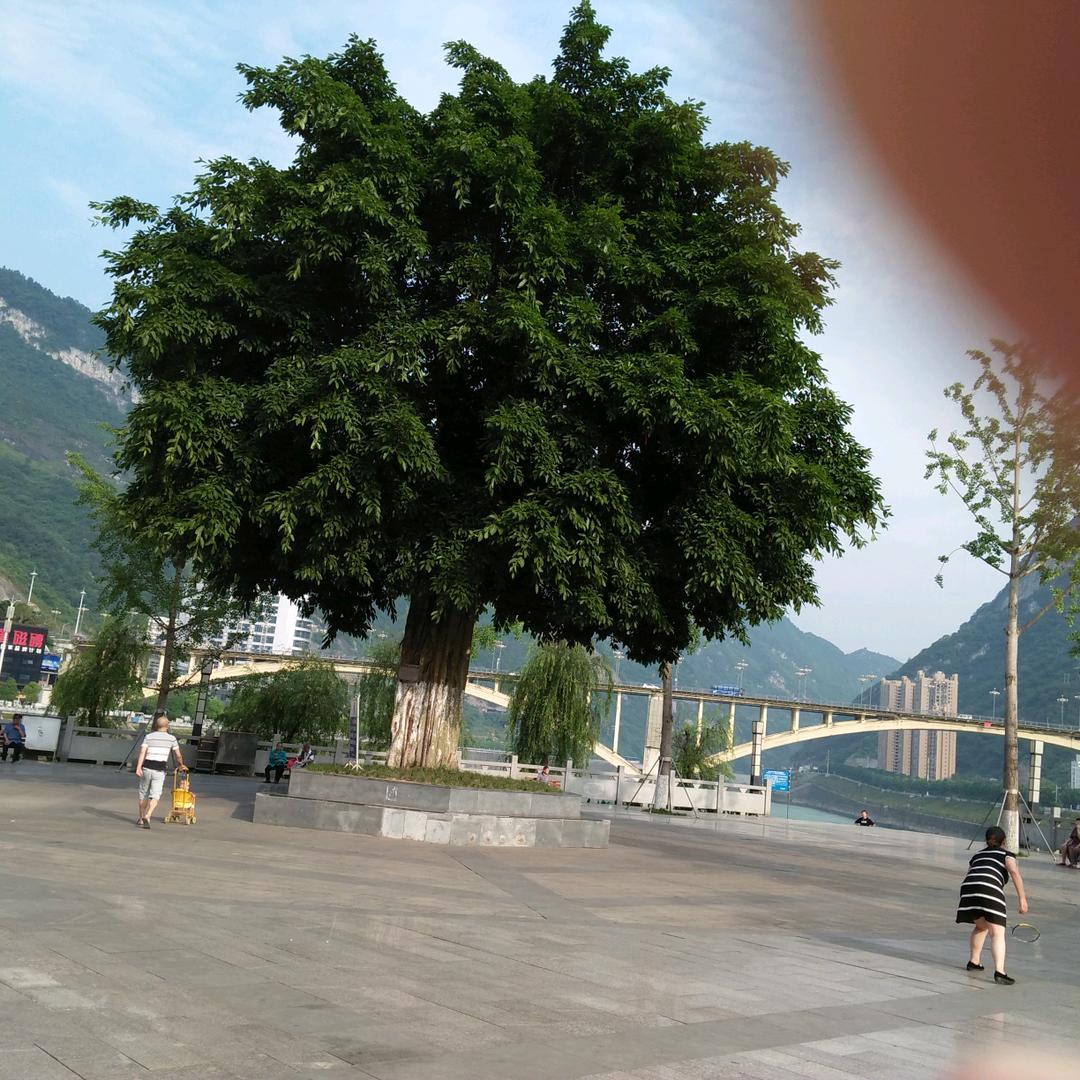 抛开烦恼生活得更好！