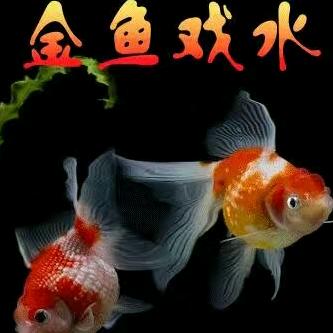 英HUang