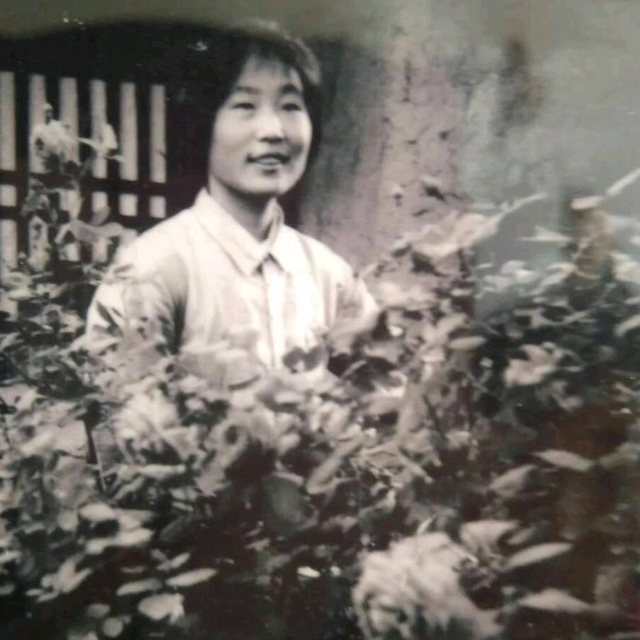 开心每一天