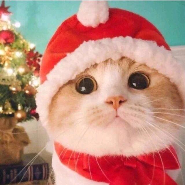 想要自由和快乐