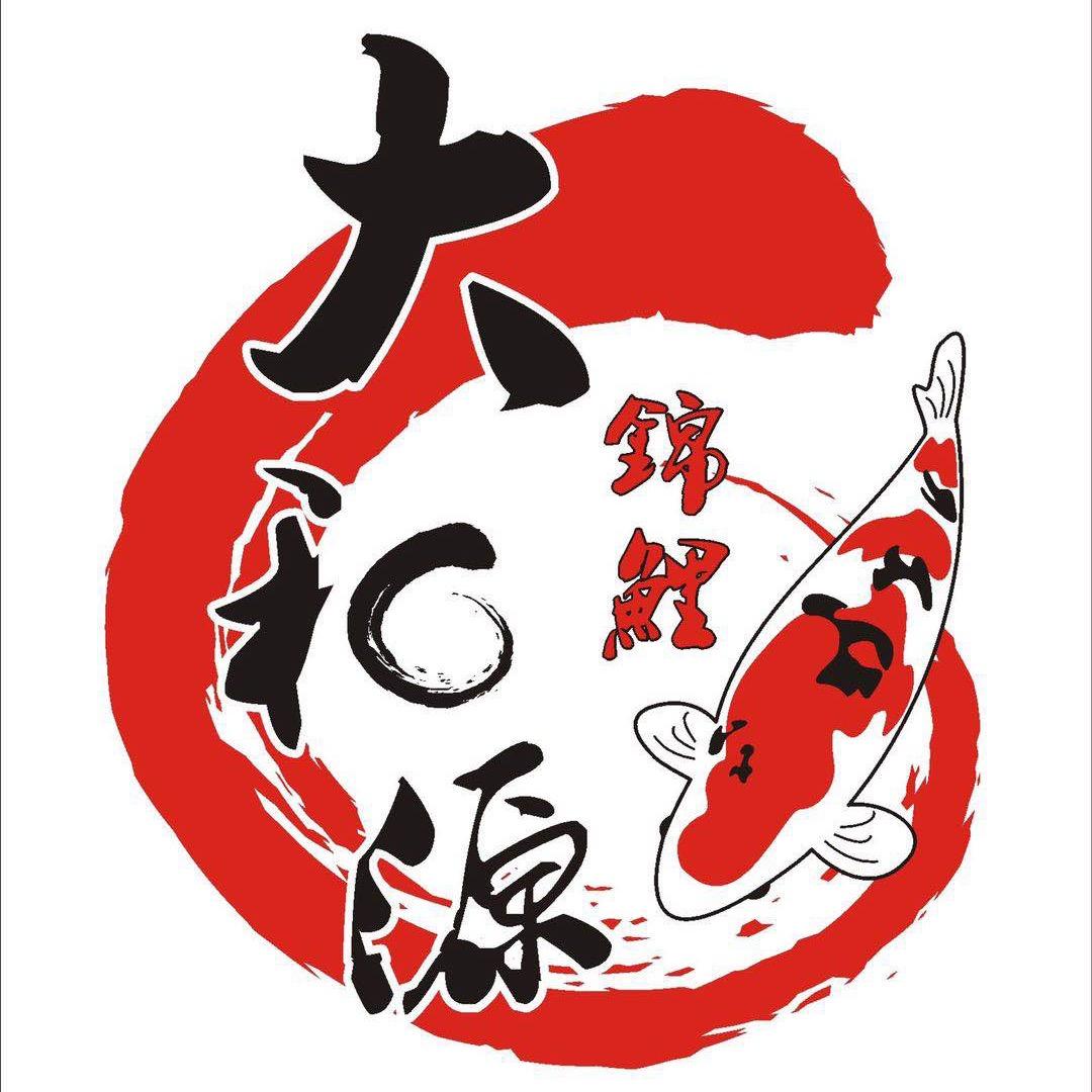 大和源锦鲤