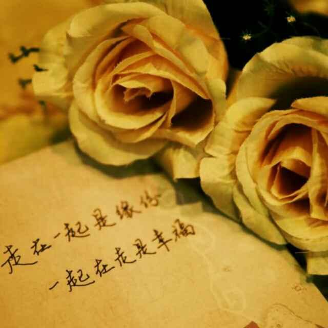 我爱我家_175506401