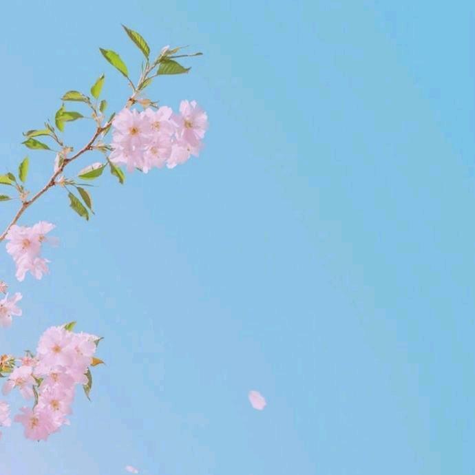 远方有琴