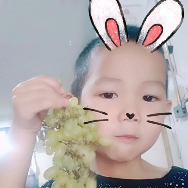 叶爱枝