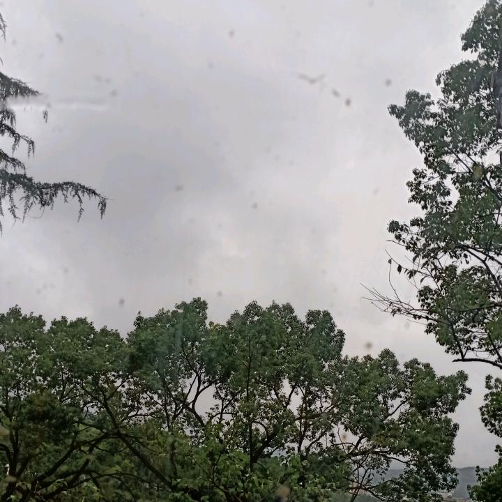 一直在路上的行