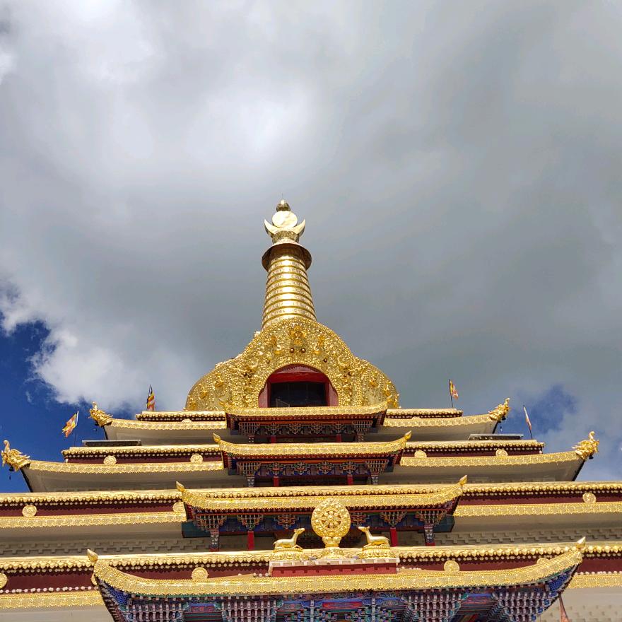 愿你出走半生，归来仍是少女