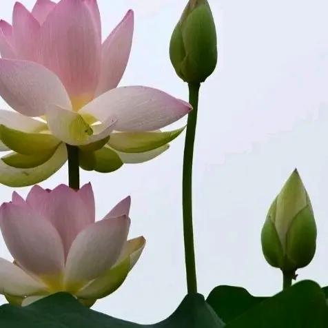 云妹《拒绝私聊》