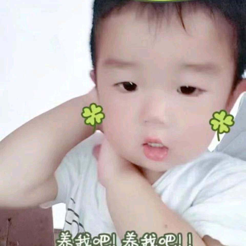 李珍