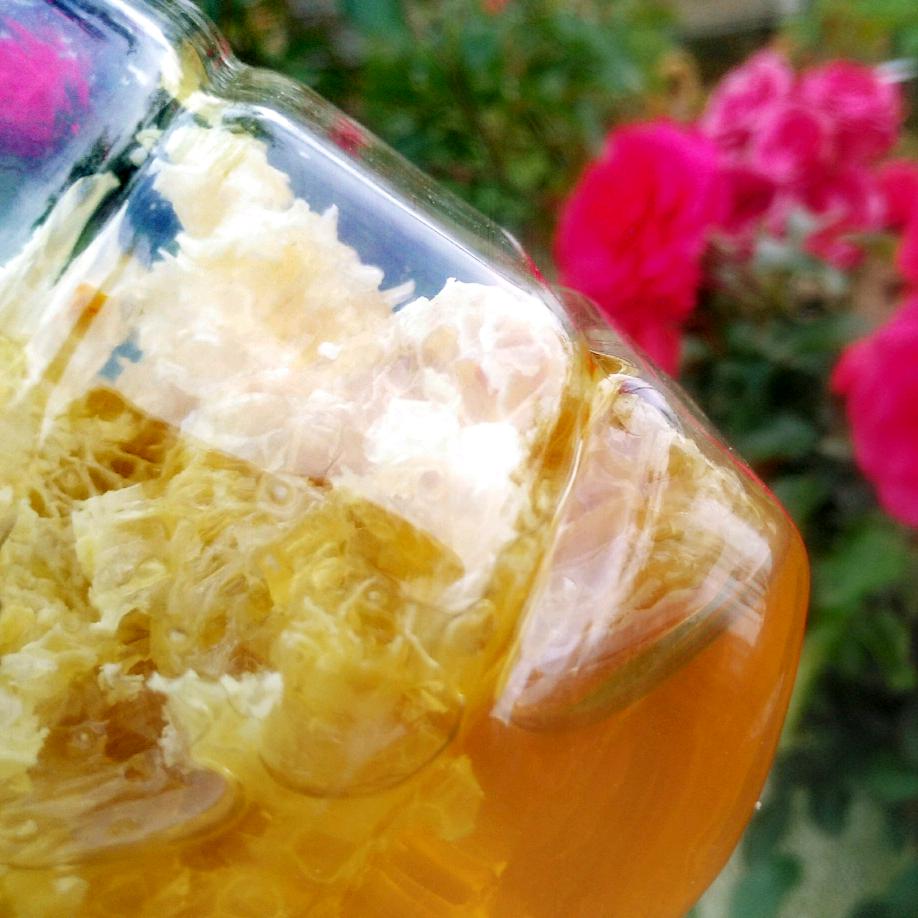 明长春养蜂种植家住锅厂