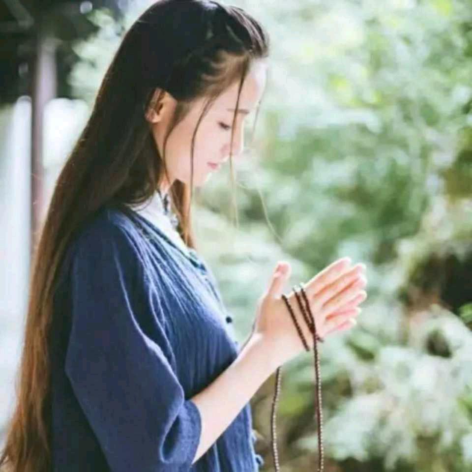 知君书画