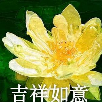基基复基基
