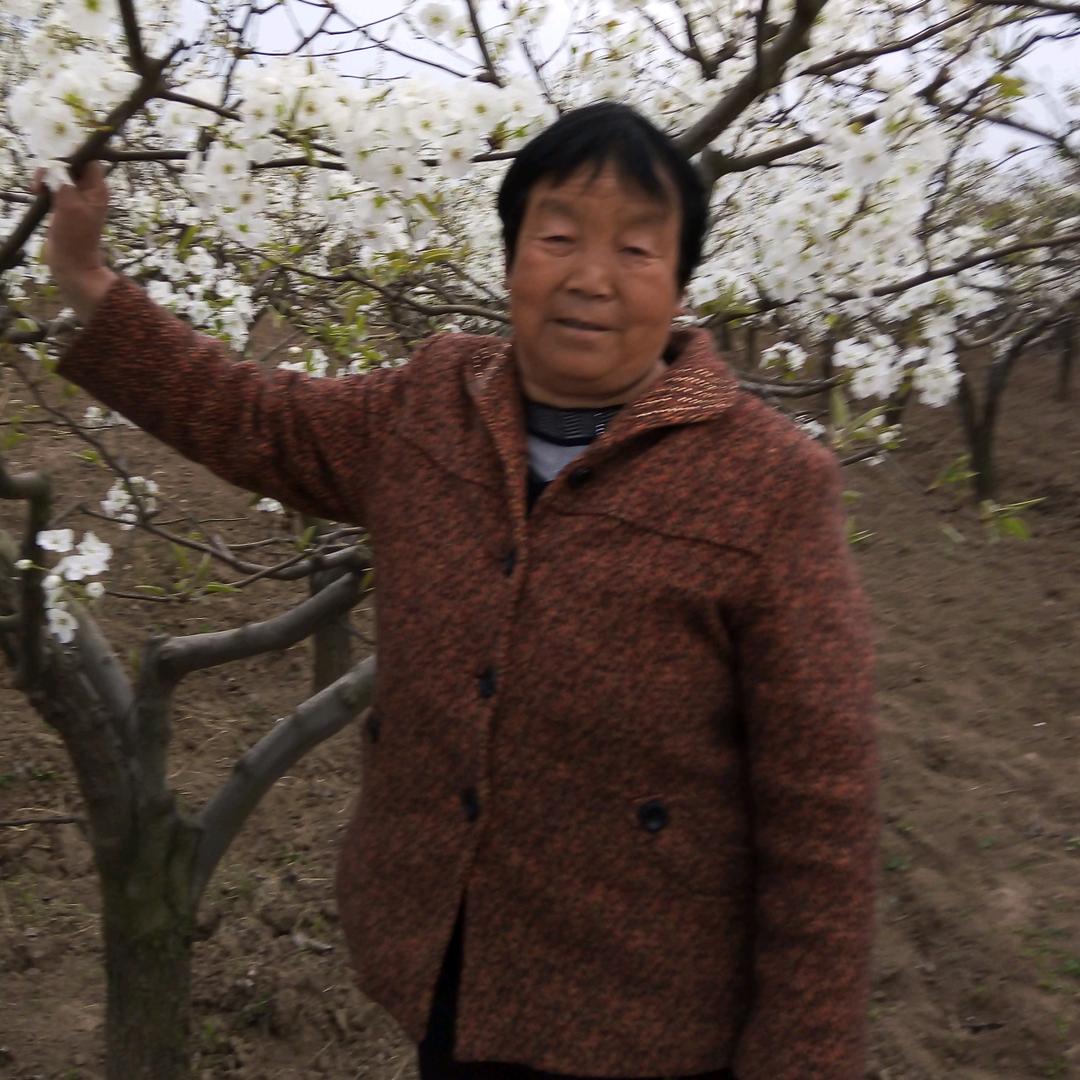 妞妞她奶奶