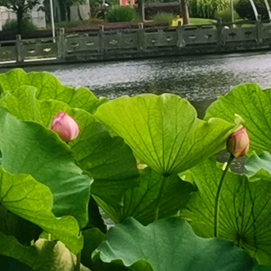 人生