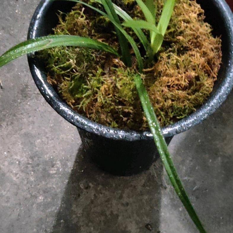 以后的以后ｸﾞｯ!(๑•̀ㅂ•́)و✧