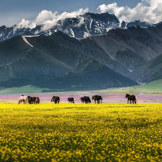 延津铭乐商贸有限公司