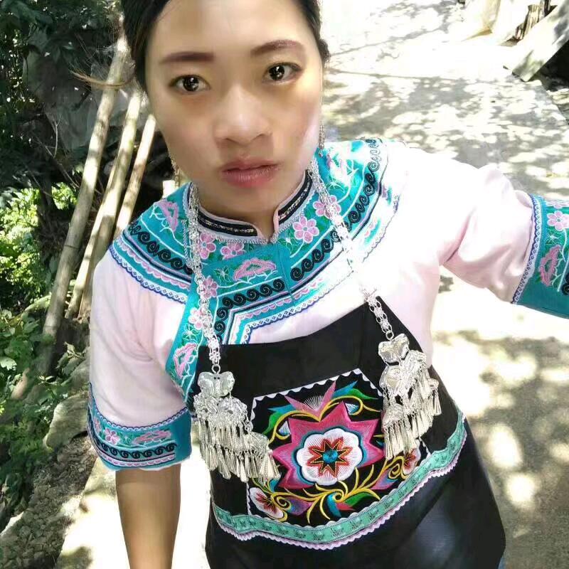 2019小凤凰