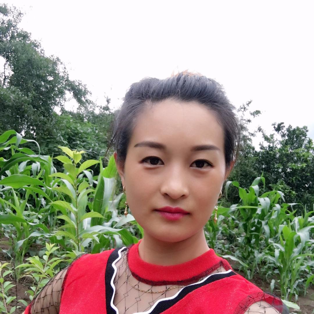 琴琴