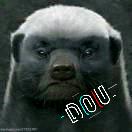 我家兔兔叫二妮