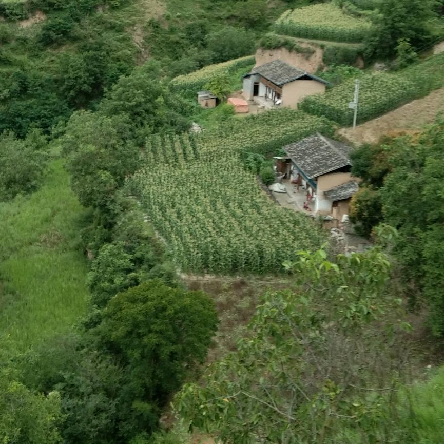 往后余生累了谁疼