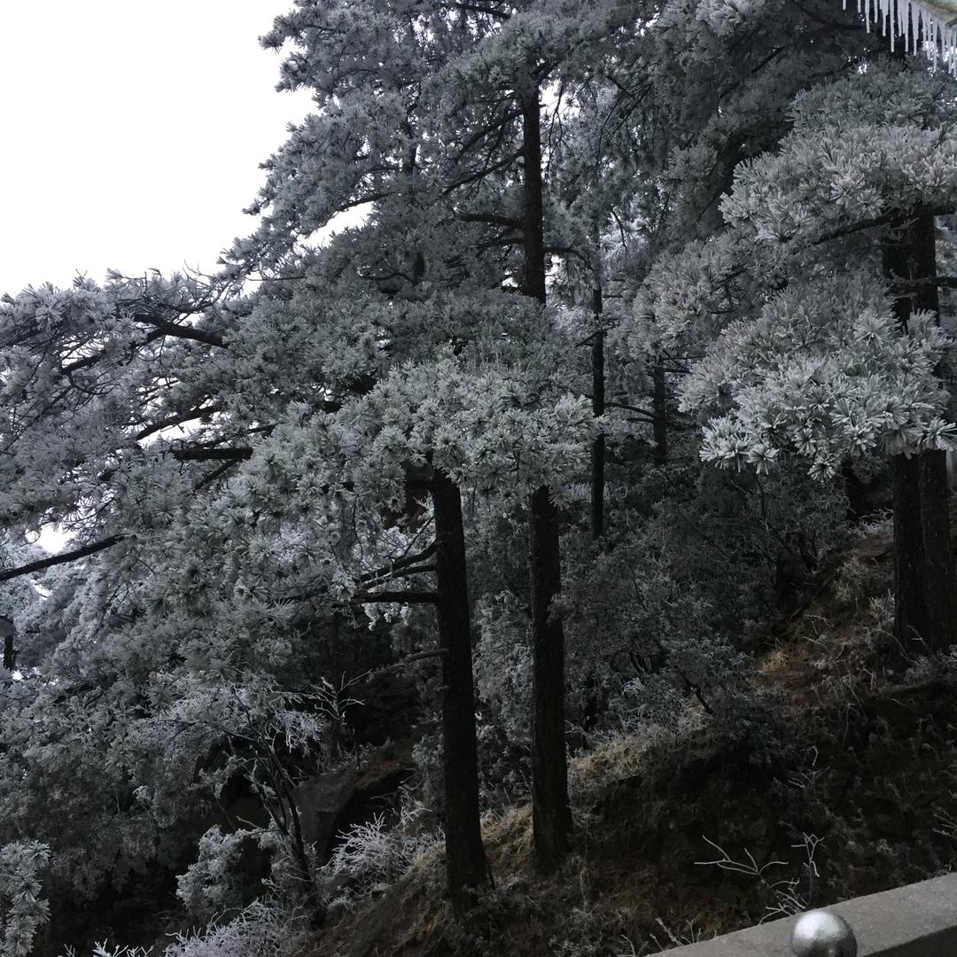 伴之则安