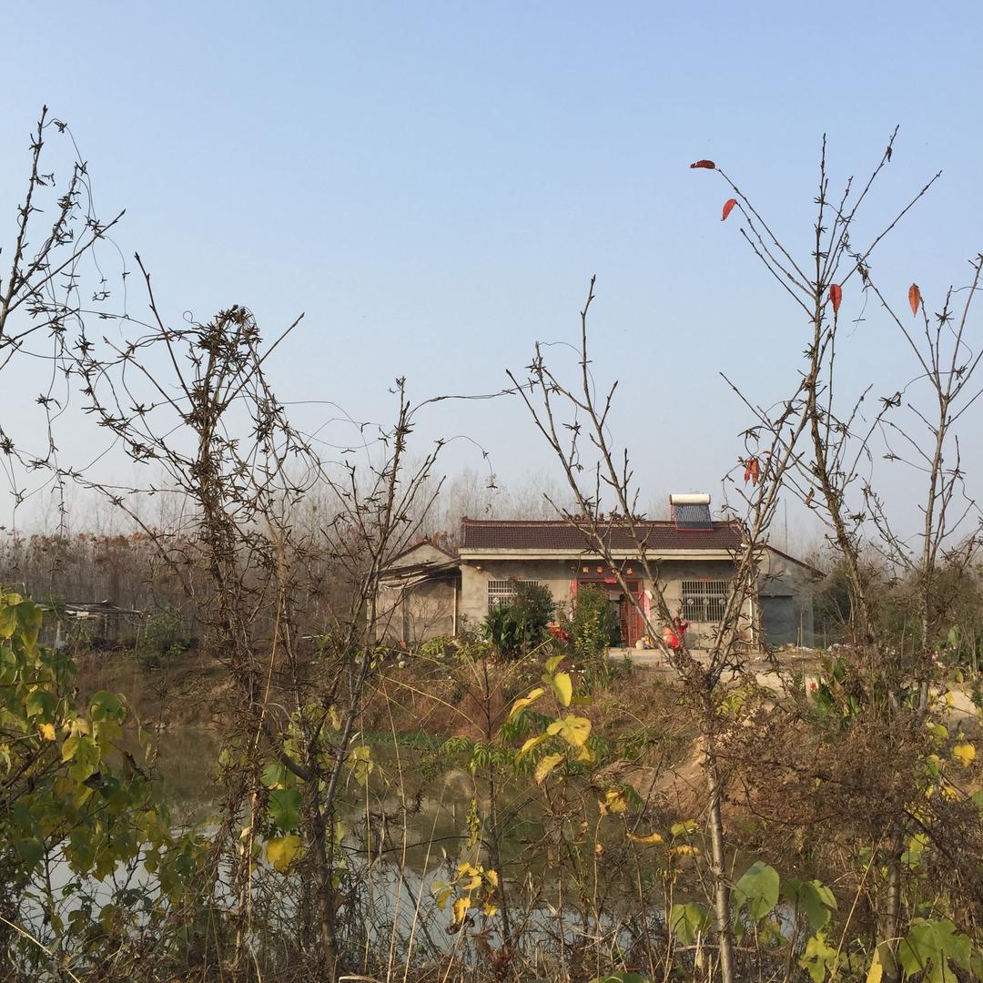 我姓李，一直都是你！