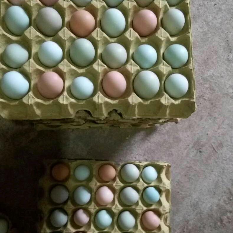 佳兴蛋品批发_
