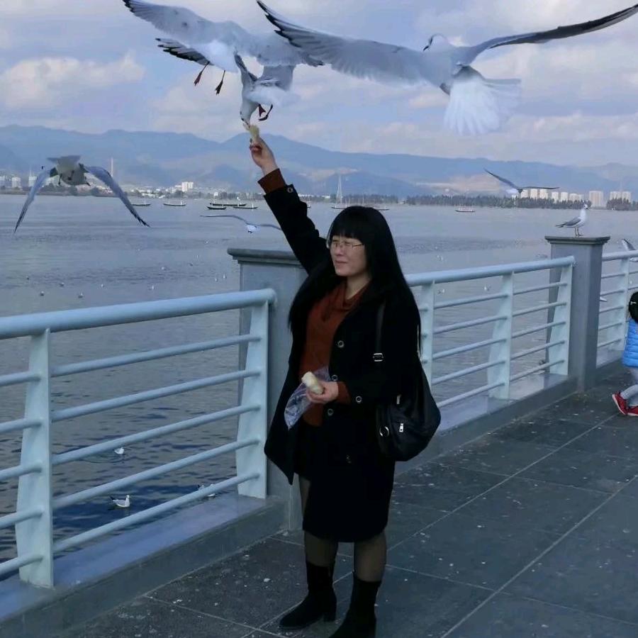 刘芳☞（橱窗好物）