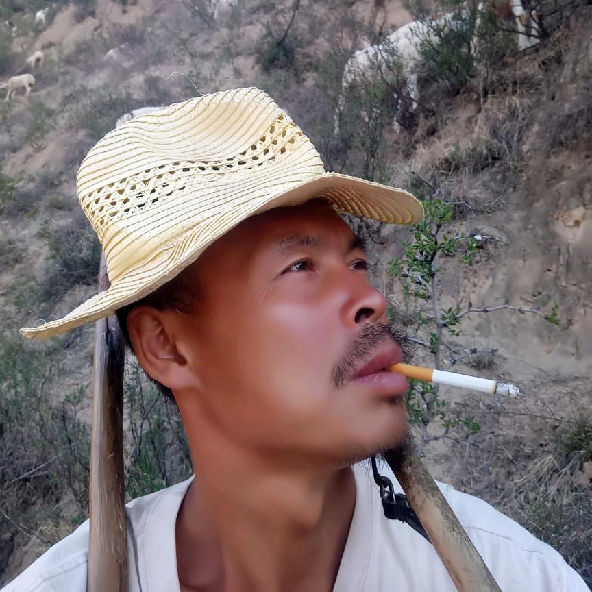 快乐的小羊官