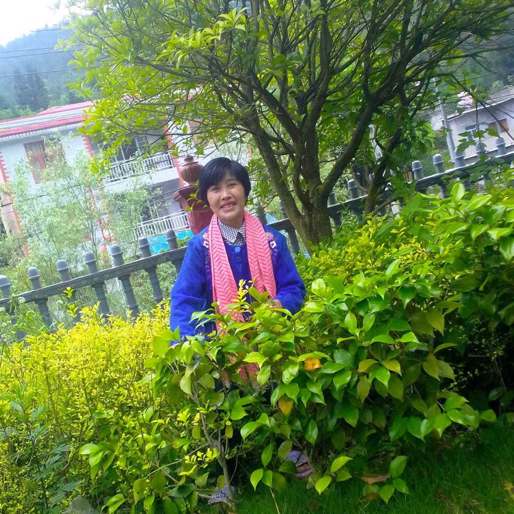 小栋