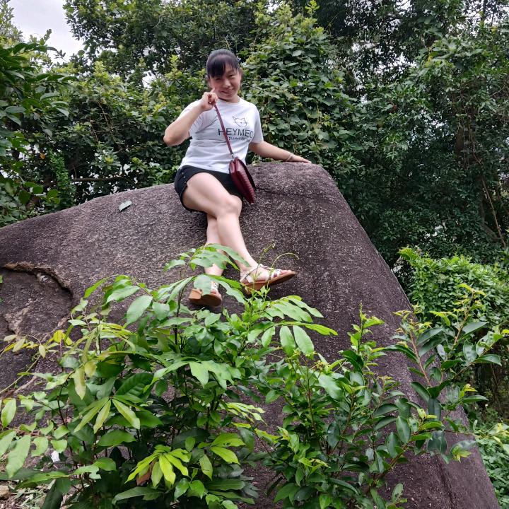 一群雄鹰