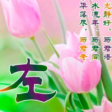 《左家》信哥