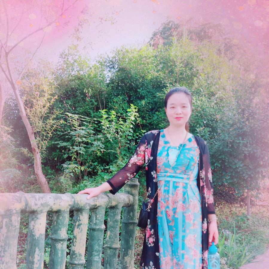 竹风雅梦