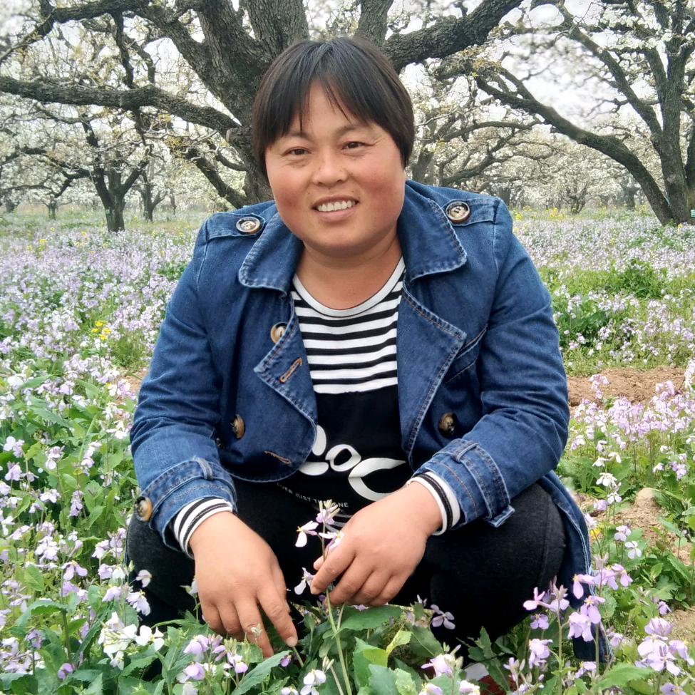 幸福的开心果《殷》