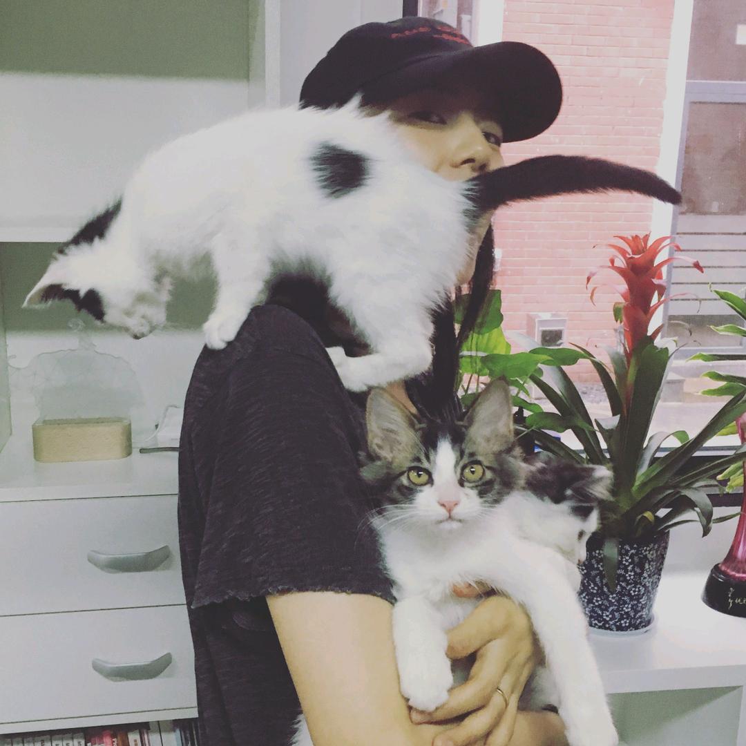 别名马小鹿