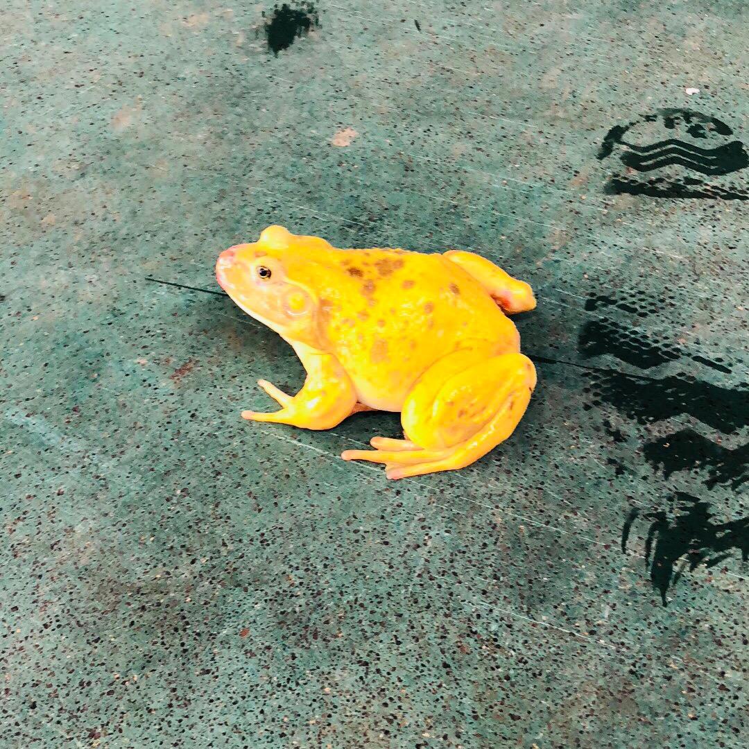 人生