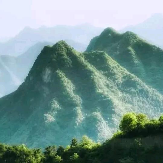 天山飞雪