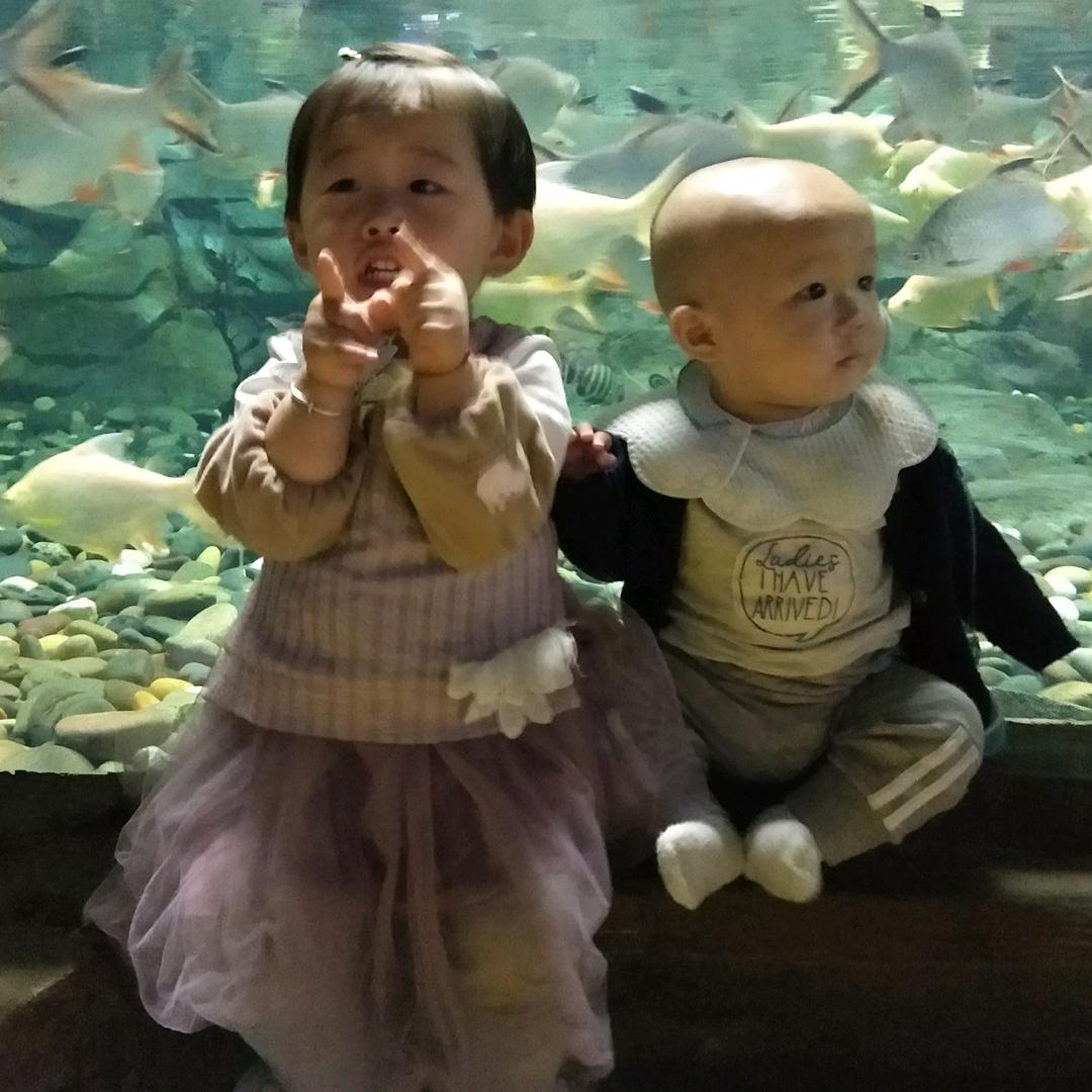 39.9建水自助烧烤