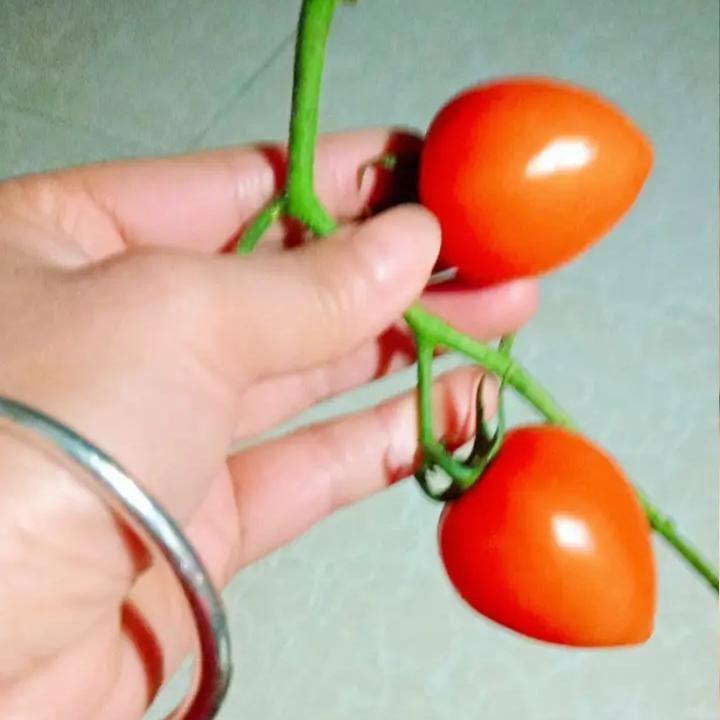 您