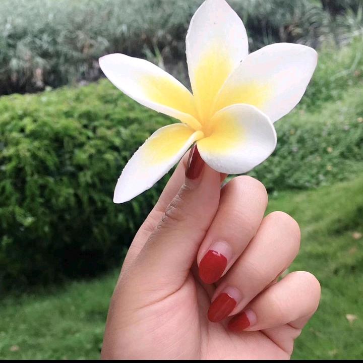妄无生欢