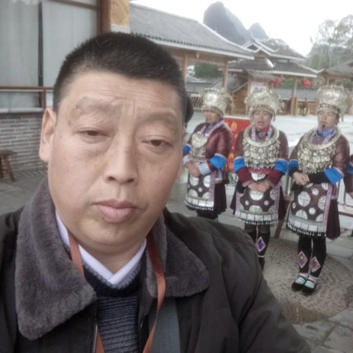 芒果树