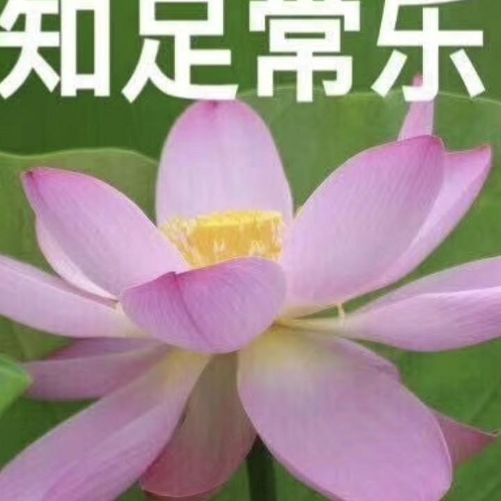 顺其自然（隋😍王）