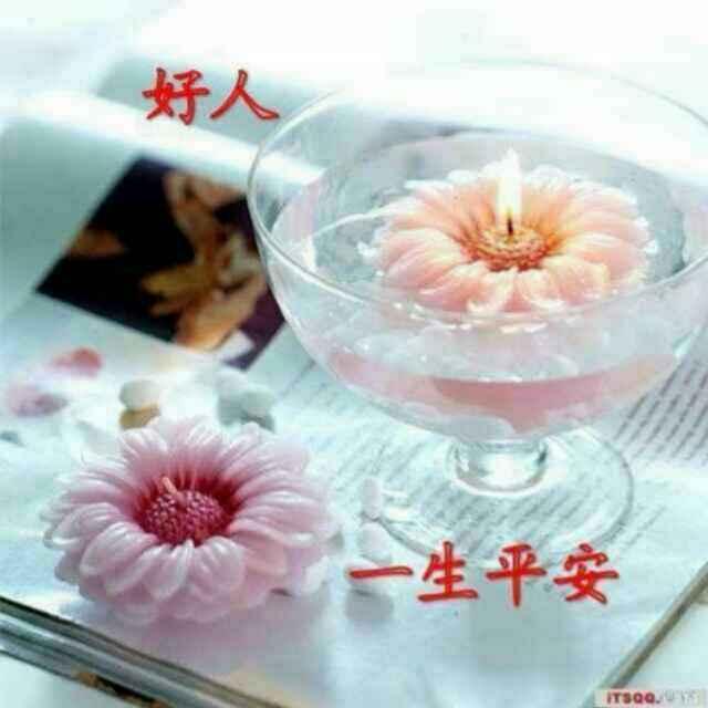 🌻缘份🙏你我🌻