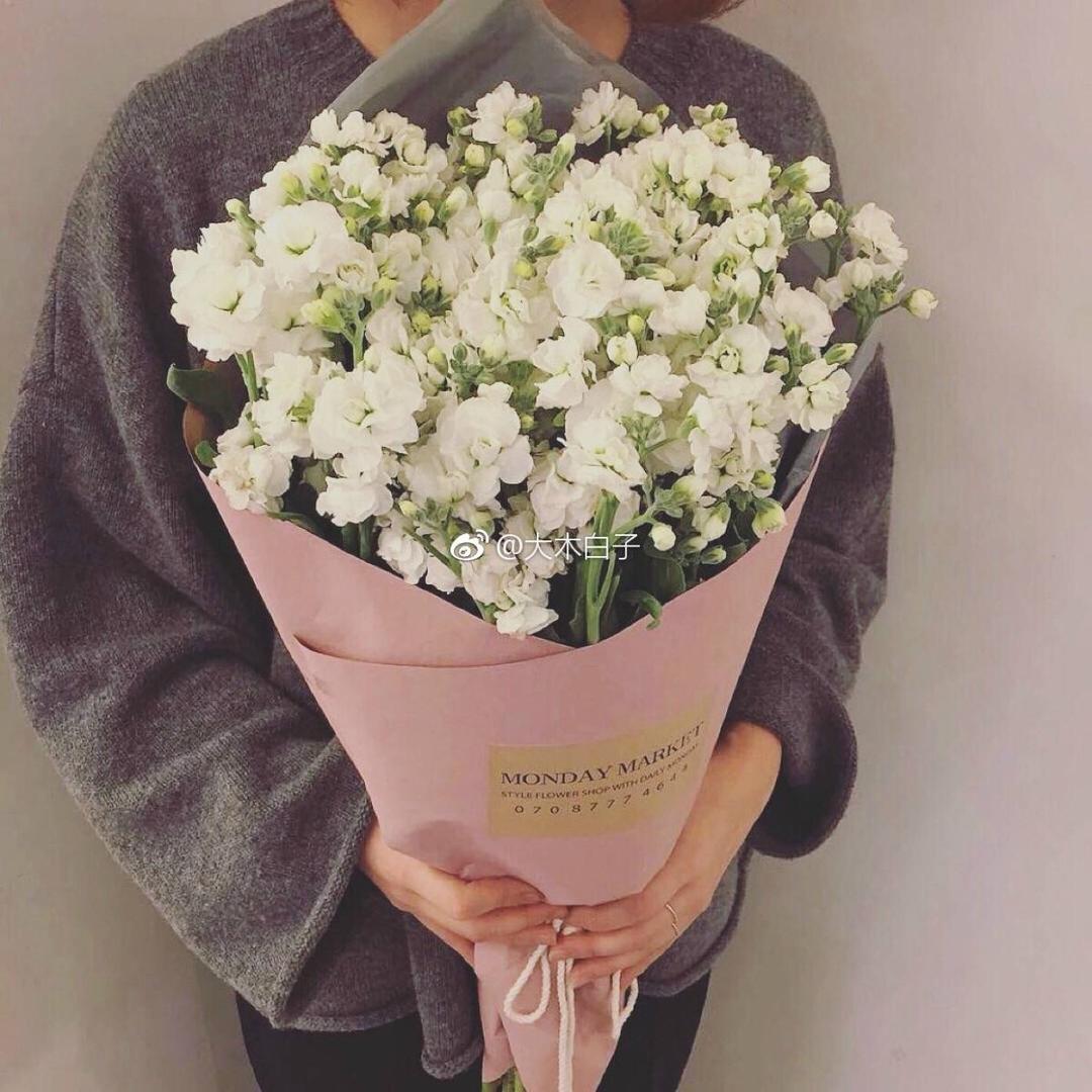彭彭💕