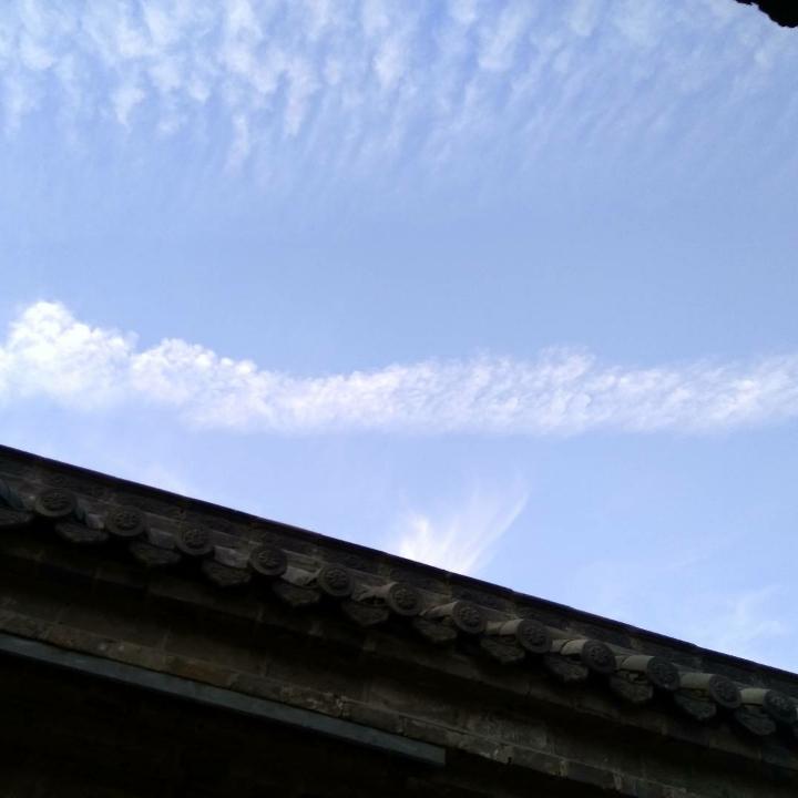 青菜丶