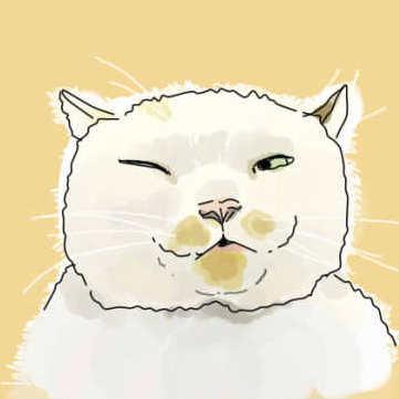 肋骨不是喵
