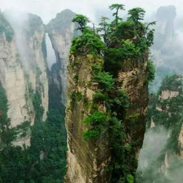 悠然自得