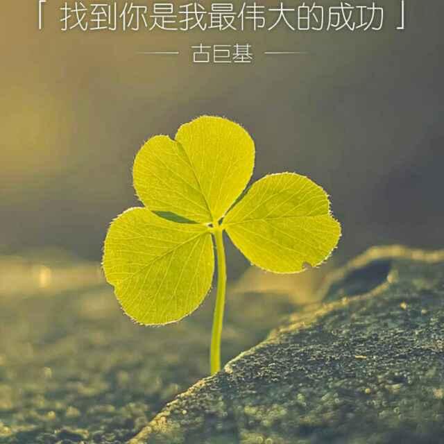 五知