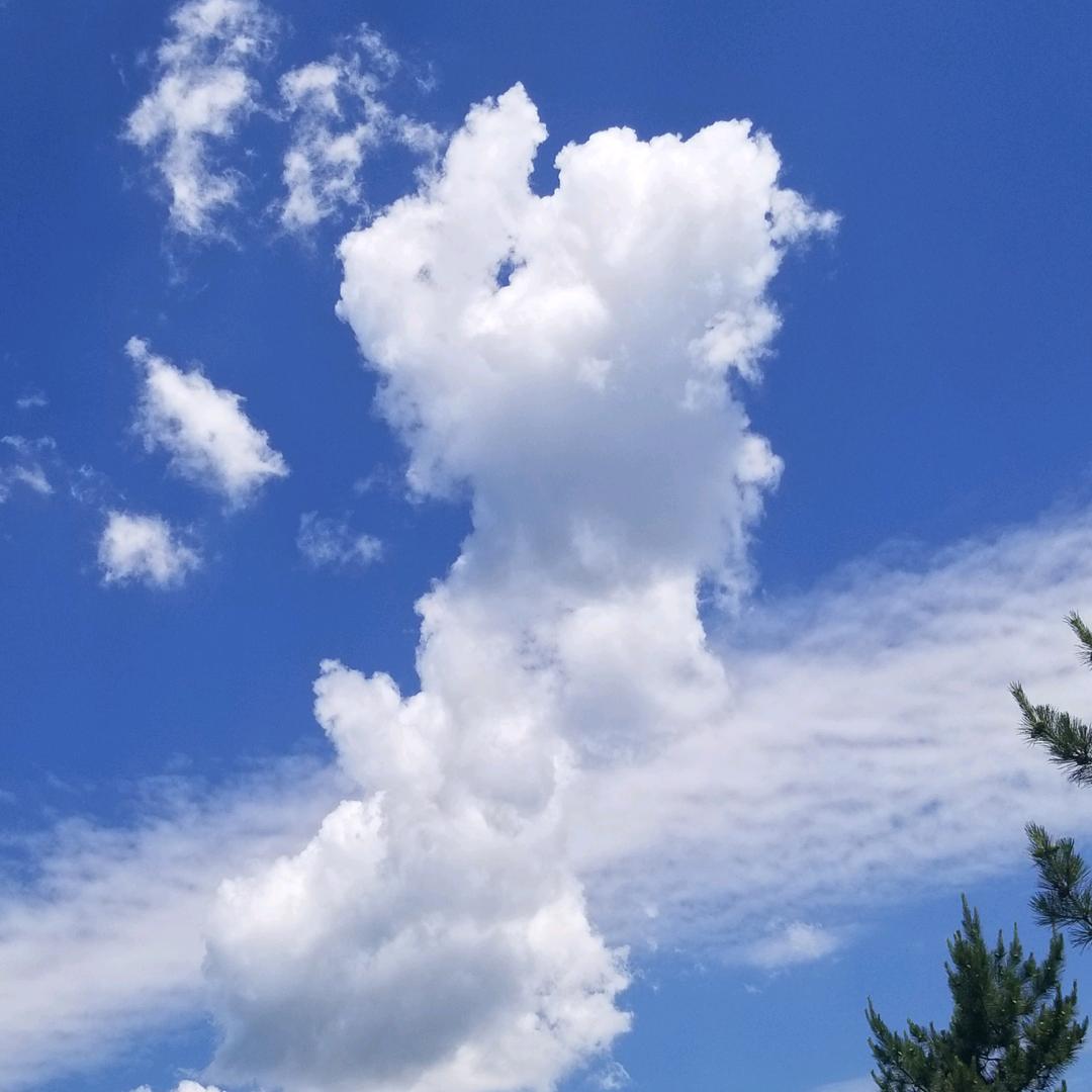 九九的传奇（  ）